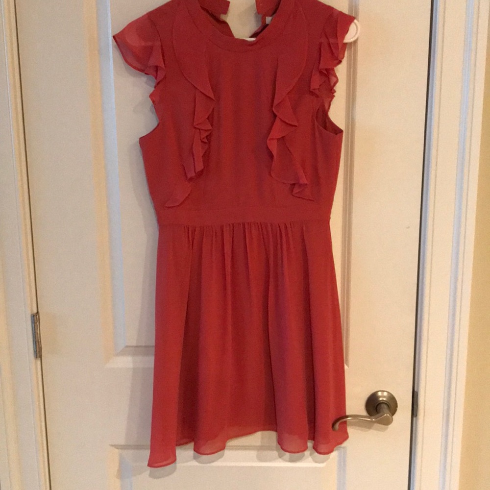 Blush BCBG dress.